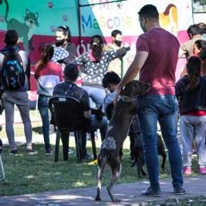 Aclaraciones en virtud de la Declaración del Consejo Directivo del Colegio Médico Veterinario de la Provincia de Córdoba