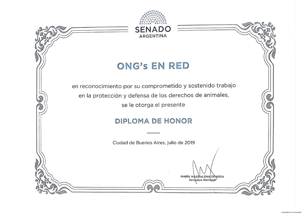 Diploma de Honor del Senado de la Nación